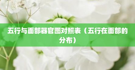五行与面部器官图对照表（五行在面部的分布）