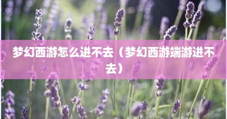 梦幻西游怎么进不去（梦幻西游端游进不去）