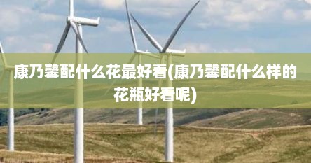 康乃馨配什么花最好看(康乃馨配什么样的花瓶好看呢)