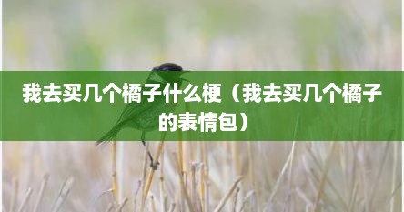 我去买几个橘子什么梗（我去买几个橘子的表情包）