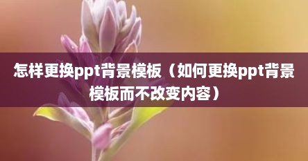 怎样更换ppt背景模板（如何更换ppt背景模板而不改变内容）