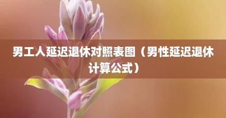 男工人延迟退休对照表图（男性延迟退休计算公式）