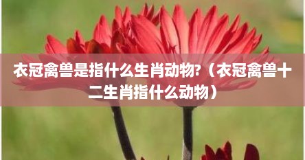 衣冠禽兽是指什么生肖动物?（衣冠禽兽十二生肖指什么动物）