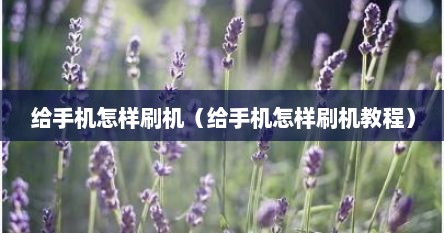 给手机怎样刷机（给手机怎样刷机教程）
