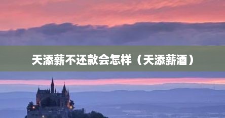 天添薪不还款会怎样（天添薪酒）