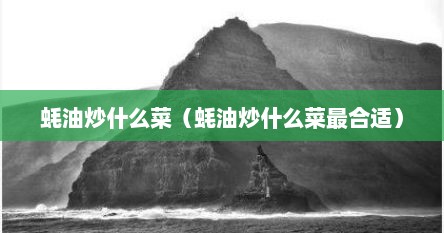 蚝油炒什么菜（蚝油炒什么菜最合适）