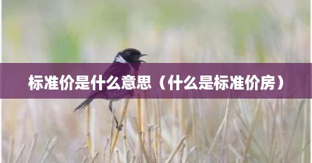 标准价是什么意思（什么是标准价房）