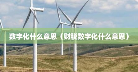 数字化什么意思（财税数字化什么意思）