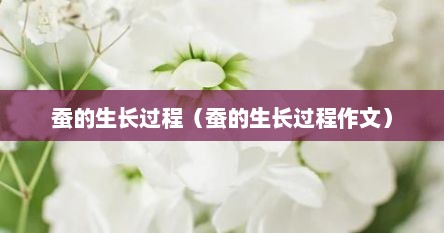 蚕的生长过程（蚕的生长过程作文）