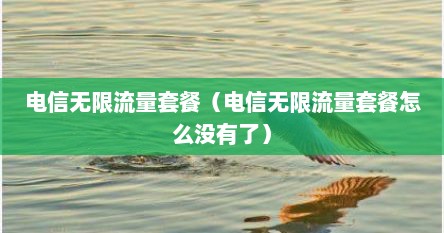 电信无限流量套餐（电信无限流量套餐怎么没有了）