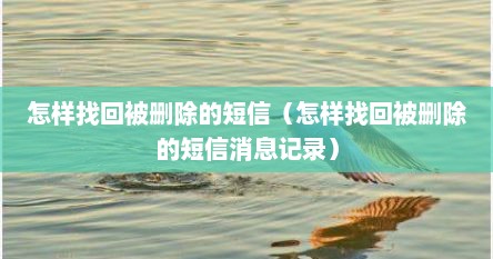 怎样找回被删除的短信（怎样找回被删除的短信消息记录）