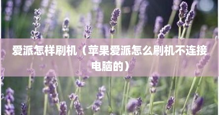 爱派怎样刷机（苹果爱派怎么刷机不连接电脑的）