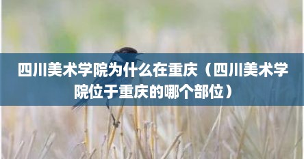 四川美术学院为什么在重庆（四川美术学院位于重庆的哪个部位）