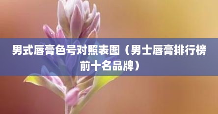 男士唇膏排行榜10强（男士唇膏带颜色什么唇膏）