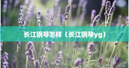 长江钢琴怎样（长江钢琴yg）