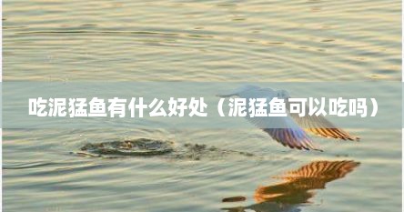 吃泥猛鱼有什么好处（泥猛鱼可以吃吗）