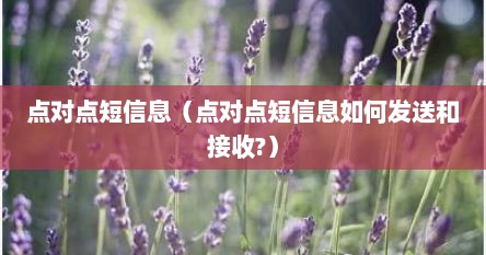 点对点短信方式提醒什么意思（点对点短信发送是什么意思）