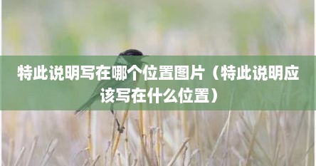 特此说明!（特此说明格式图片）