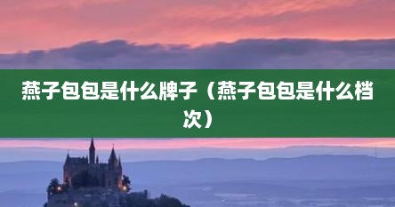 燕子包包是什么牌子（燕子包包是什么档次）