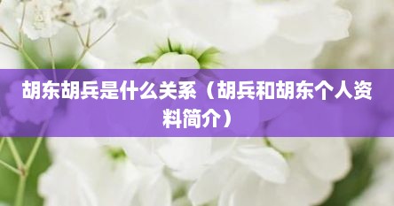 胡东胡兵是什么关系（胡兵和胡东个人资料简介）