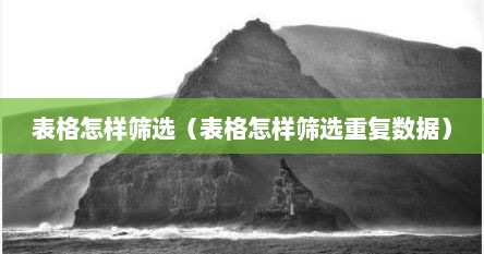 表格怎样筛选（表格怎样筛选重复数据）