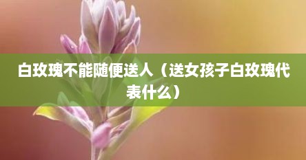 白玫瑰不能随便送人（送女孩子白玫瑰代表什么）