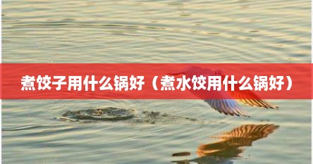 煮饺子用什么锅好（煮水饺用什么锅好）