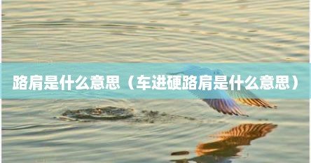 路肩是什么意思（车进硬路肩是什么意思）
