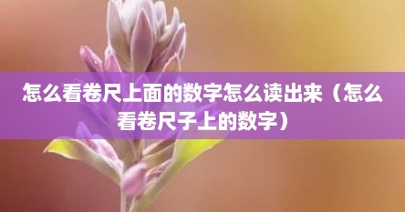 卷尺上面的数字怎么认（怎么看卷尺上的数字图解）