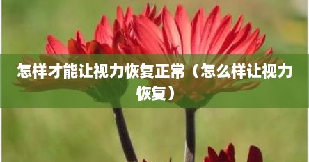 怎样才能让视力恢复正常（怎么样让视力恢复）