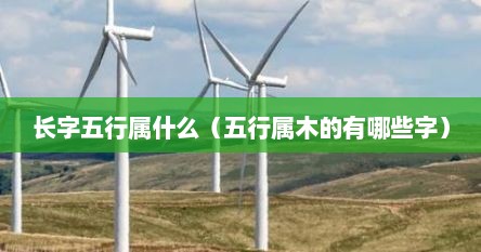 长字五行属什么（五行属木的有哪些字）