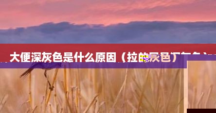 大便深灰色是什么原因（拉的屎是深灰色）