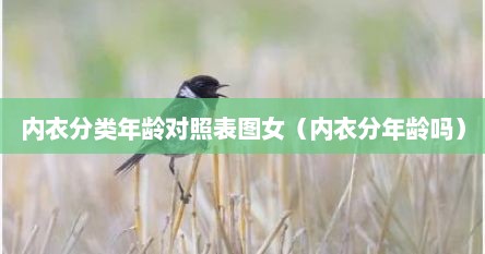 内衣分类年龄对照表图女（内衣分年龄吗）