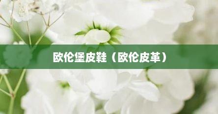 欧伦堡皮鞋（欧伦皮革）