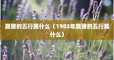 属猪的五行属什么（1983年属猪的五行属什么）