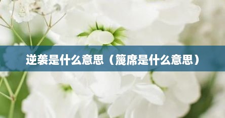 逆袭是什么意思（篾席是什么意思）
