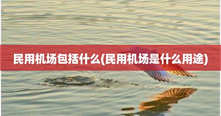 民用机场包括什么(民用机场是什么用途)