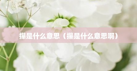 攥是什么意思（攥是什么意思啊）