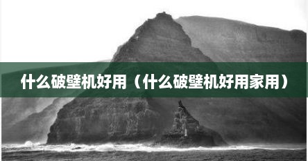 什么破壁机好用（什么破壁机好用家用）