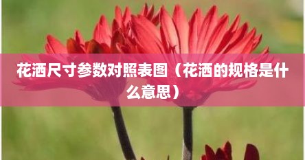 花洒尺寸参数对照表图（花洒的规格是什么意思）