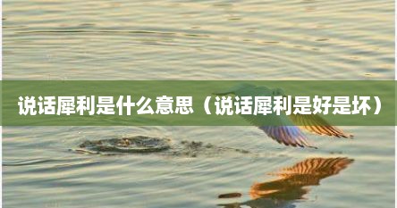 说话犀利的女生好不好（说话犀利是代表什么意思?）