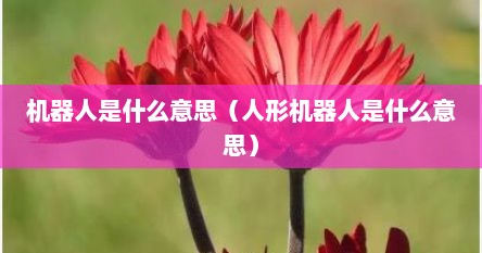 机器人是什么意思（人形机器人是什么意思）