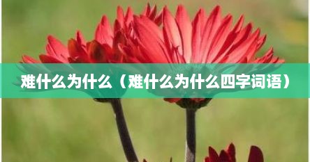 难什么为什么（难什么为什么四字词语）