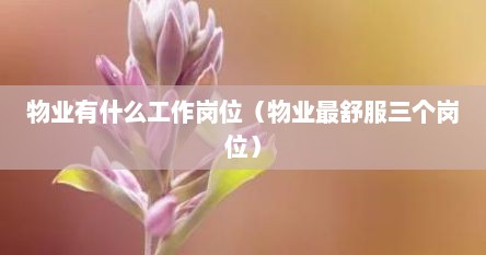 物业有什么工作岗位（物业最舒服三个岗位）