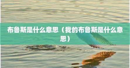 布鲁斯是什么意思（我的布鲁斯是什么意思）