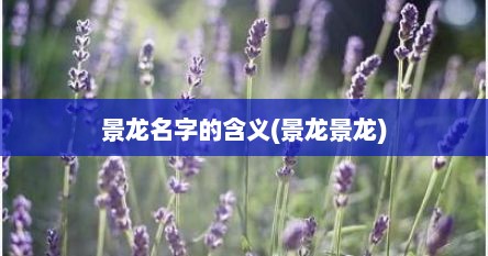 景龙名字的含义(景龙景龙)