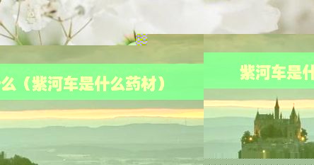 紫河车是什么（紫河车是什么药材）