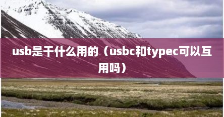 usb是干什么用的（usbc和typec可以互用吗）