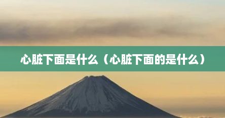 心脏下面是什么（心脏下面的是什么）