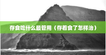 存食吃什么最管用（存着食了怎样治）